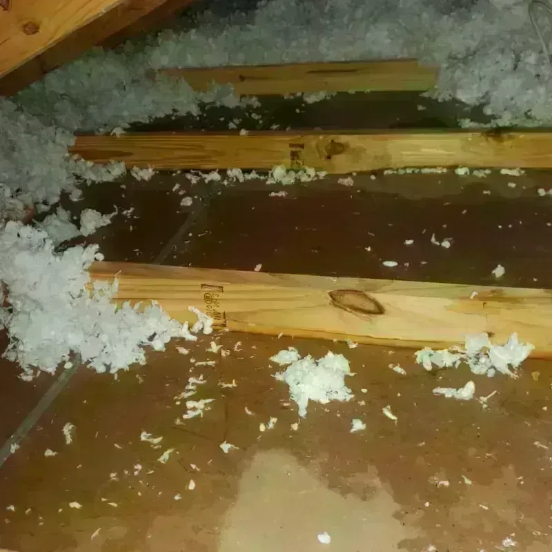 Attic Water Damage in Lima, PA